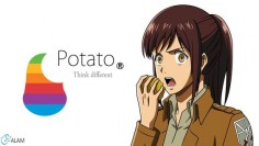 attack on titan wallpapers | potato girl - Attack on Titan Wallpaper
