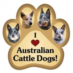 Australian Cattle Dog Information and History