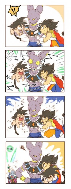Baby Goku, Kid Vegeta and Bills. so cute how they portray vegeta all worried that goku will anger bills. then hodling/sheilding/protectivly holding him lol