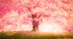 backgrounds tumblr gif anime - Google Search