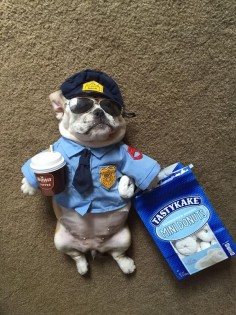 BarkFeed: Submit and vote on the best doggie pics and videos! She looks so cute .... very typical Police officer lol