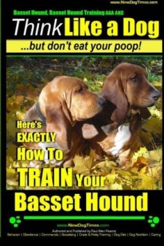 Basset Hound, Basset Hound Training AAA AKC: Think Like a Dog, But Don't Eat Your Poop! Basset Hound Breed Expert Training: Here's EXACTLY How To TRAIN Your Basset Hound (Volume 1)