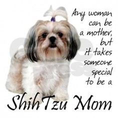 Because I'm a mommy to a miniature shitzu!