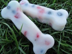 Berry Yogurt Pops | 17 Cool Treats To Make Your Dog This Summer