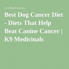 Best Dog Cancer Diet - Diets That Help Beat Canine Cancer | K9 Medicinals