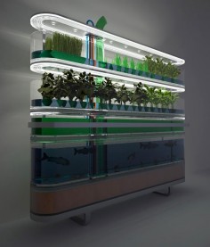 “Biosphere home farming concept generates food and cooking gas, while filtering water. The concept supplements a families nutritional needs by generating several hundred calories a day in the form of fish, root vegetables, grasses, plants and algae. Unlike conventional hydroponic nurseries this system incorporates a methane digester than produces heat and gas to power lights, similarly algae produces hydrogen and the root plants produces oxygen, which is fed back to