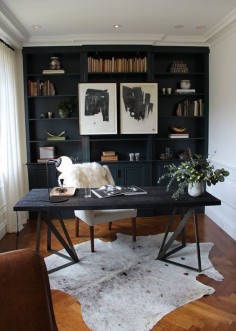 black bookcase #citnbremodel