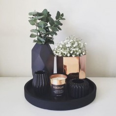 Black vase, copper, green, plant. Buy the vase at Action and paint it black.