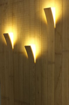 Bois et lumière design  Exposition salon maison bois d'Angers  LED / Daney Factory