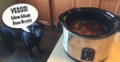 Bone broth is one of the most nutritious and delicious foods for dogs. Learn how to make it and why your dog needs it.