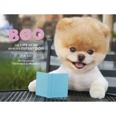 Boo~The Life of the World’s Cutest Dog