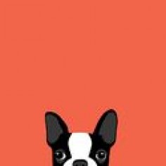 Boston Terrier Art Print by Anne Was Here | Society6
