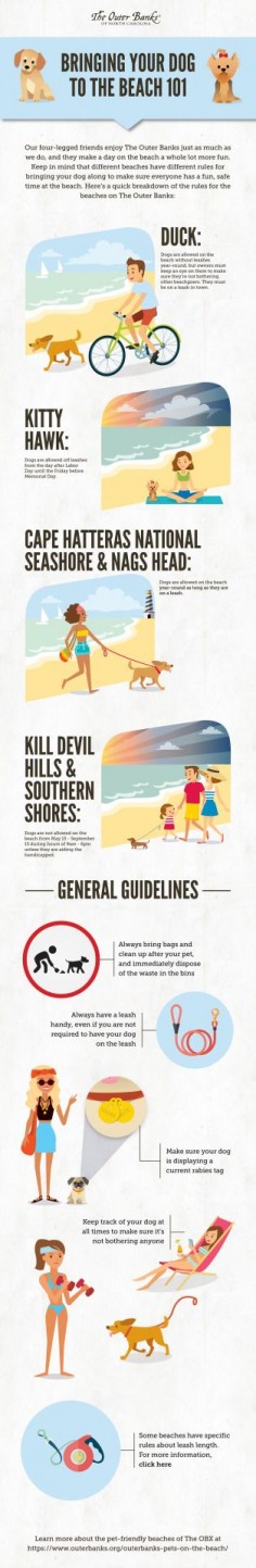 Bringing Your Dog To The Beaches On The Outer Banks 101