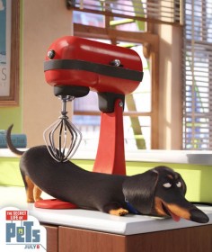 Buddy's trick to a great post-workout massage. | The Secret Life of Pets | In Theaters July 8