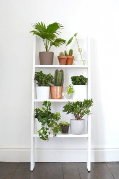 burkatron: home | 4 ideas for decorating with plants