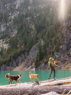 'Camping With Dogs' Instagram Is The Cutest Thing You'll See All Day