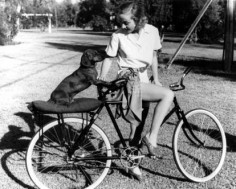 Carole Lombard and her Dachshund Commissioner.  My 12 year old Doxie has always loved to ride on anything. Lawn mower,