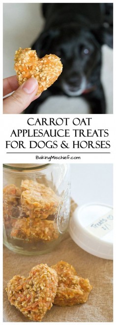 Carrot Oat Applesauce Treats - Quick and easy four-ingredient treats for dogs and horses. From 