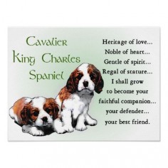 Cavalier King Charles Spaniel Gifts Poster #CKCS. This is so true of this wonderful breed.