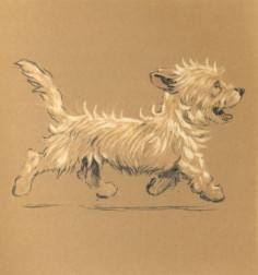Cecil Aldin 'Mac' 1912 The Adventures of a West Highland Scottish Terrier Print | eBay