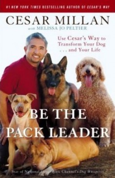 Cesar Millan recommends using a consistent non-mark (the tsch sound) when a dog is misbehaving. If the dog continues to misbehave, it is important to follow-up the non-mark with some action ( a body block or time-out) so that the dog understands that there are consequences for ignoring a non-mark.