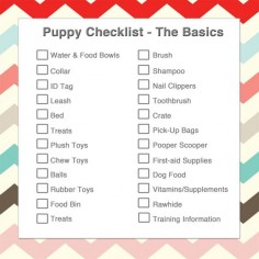 Check out our Puppy Checklist and find out what you need for your new pup!