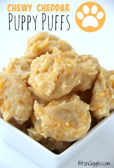 Chewy Cheddar Puppy Puffs - A chewy and cheesy homemade treat your pet is sure to love!