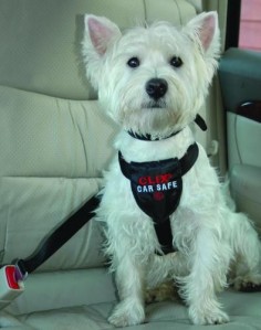 Clix Car Safe Harness for Dogs