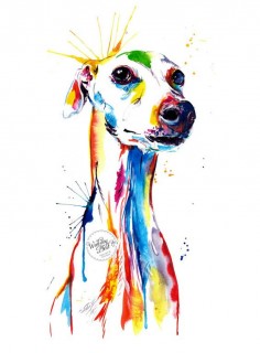 Colorful Whippet and Italian Greyhound Art Print - Print of my Original Watercolor Painting