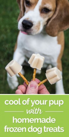 Cool Off Your Pup with Homemade Frozen Dog Treats