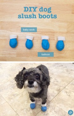 Create these easy DIY dog booties. Cut the top of the balloon off, place a baby sock inside the balloon and place them on your furry friends paws to keep out the salt!