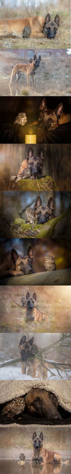 Credit to the photographer Tanja Brandt.