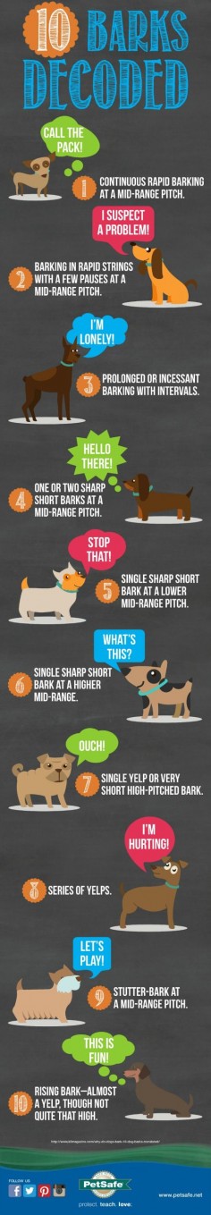 Decode your dog's barking. 10 common barks explained in this infographic.