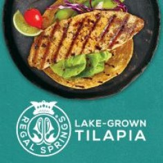 Delicious, versatile and surprisingly easy. All-natural Regal Springs Tilapia are responsibly raised in pristine deep-water lakes in the most environmentally friendly way possible. It’s a good day for a great fish. Check out our site and share us with your friends!