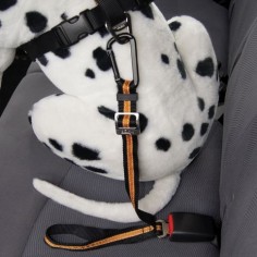 Direct to seat belt tether is a seat belt for dogs that secures your pet, keeping him safe and out of the front seat.