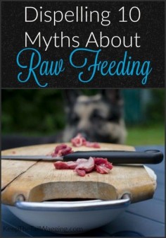 Dispelling 10 Myths About Raw Feeding in My Pajamas