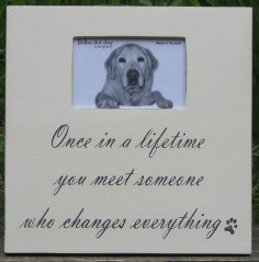 distressed picture frame for the pet and pet lover - 4 x 6 distressed frame, shabby chic. $, via Etsy.