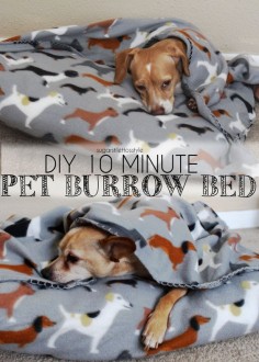 DIY 10 minute Pet Burrow Bed