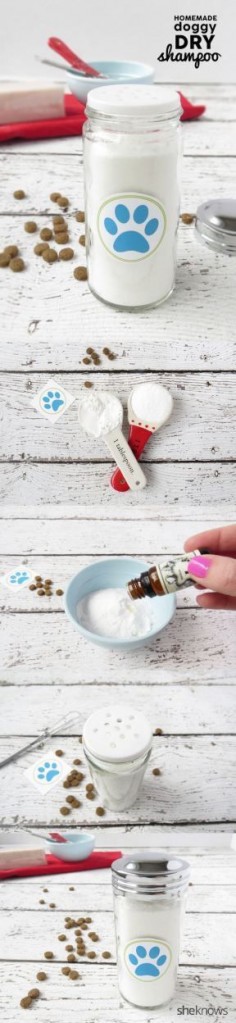 DIY dog deodorizer for in between baths. I love putting it inside a big salt shaker like the pic, for easy access, especially with an active puppy.