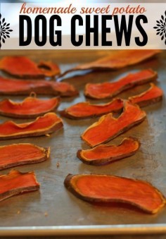 DIY Homemade Dog Chews made from sweet potatoes. All you need to do is slice up some sweet potatoes and bake - doesn't get much easier than that! Plus the price at pet smart for natural sweet potato treats is around $13 - I like spending $2 instead. Plus my dog is really really happy!