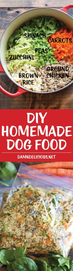 DIY Homemade Dog Food - Keep your dog healthy and fit with this easy peasy homemade recipe - it's cheaper than store-bought and chockfull of fresh veggies!
