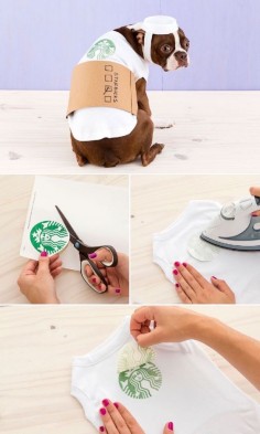 DIY How to dress your dog as a Latte for Halloween.