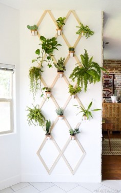 DIY: wood and leather trellis plant wall