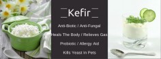 Do You Feed Kefir To Your Dog?
