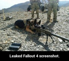 Do you see the target?" Bark fallout fallout 4 dogmeat fallout dogmeat twitter