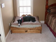 Dog Bed For Great Dane