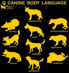 Dog Body Language Chart