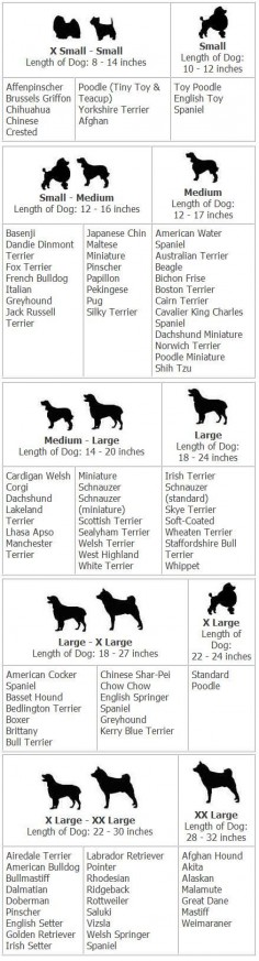 Dog Breed Chart Comparison Dog Breed Size Chart