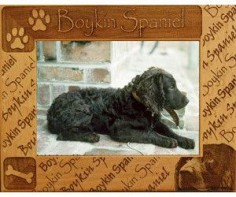 Dog Breed Photo Frame - Boykin Spaniel