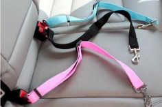 Dog Car Seat Safety Belt (Black)